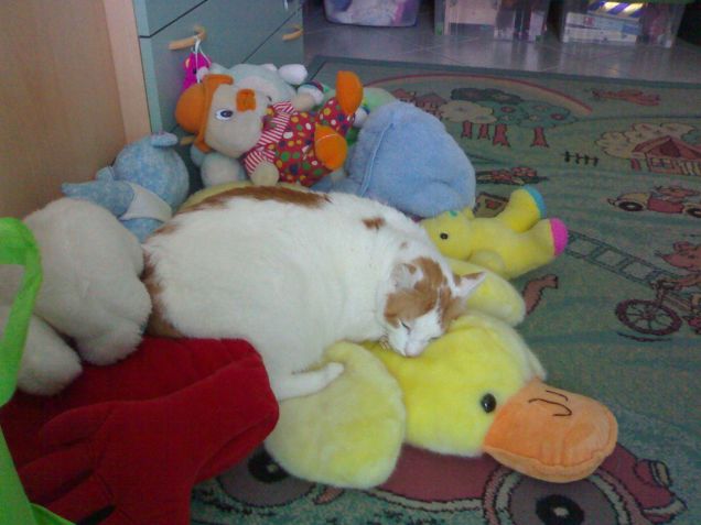 li adoro proprio i pupazzi! :)