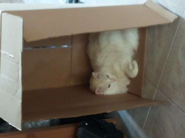 traslochiamo di nuovo?