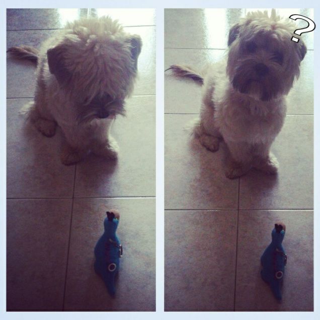 Shila e il dinosauro