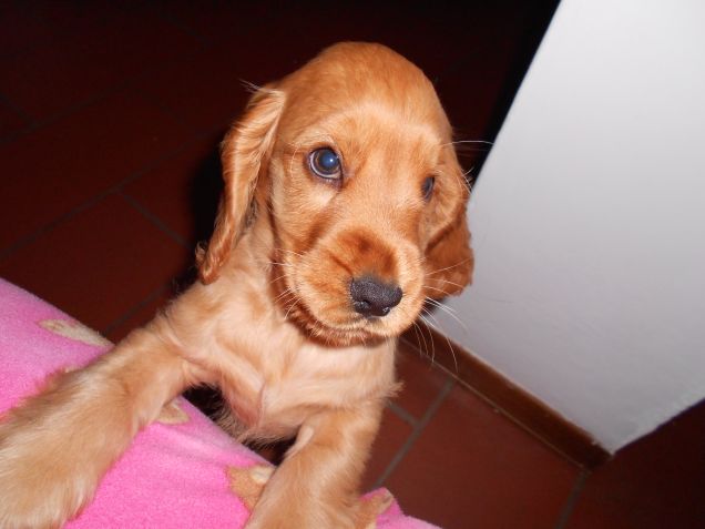 Brigitte a 3 mesi...