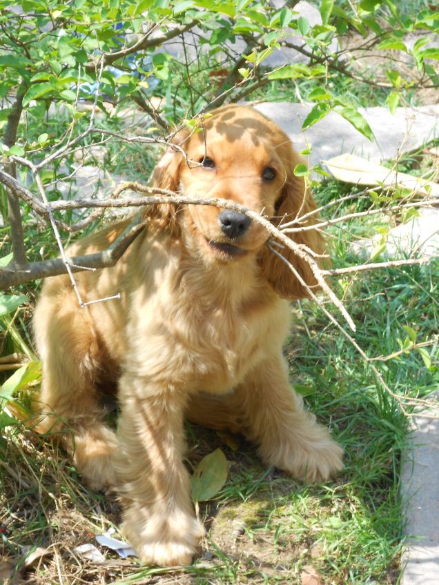 brigitte in giardino....