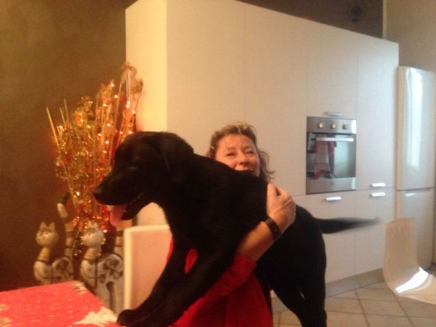 un abbracio  a sorpresa