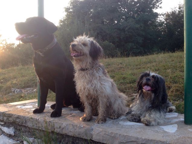 i 3 disastri in un momento di  calma