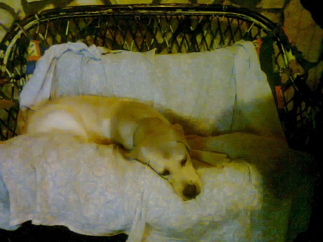 spaparanzato sul divanetto!!!