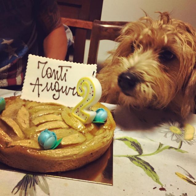 Il secondo compleanno 