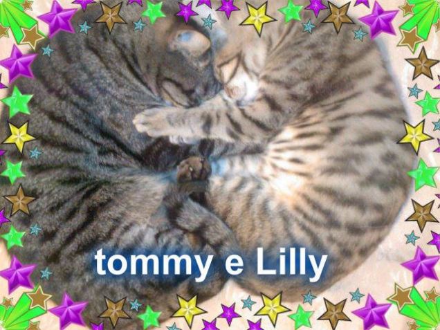 Lilly e Tommy