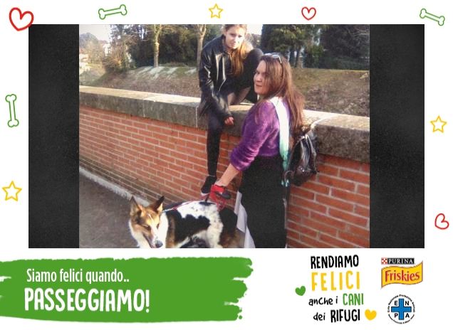 passeggiare a 8 zampe e 2 gambe