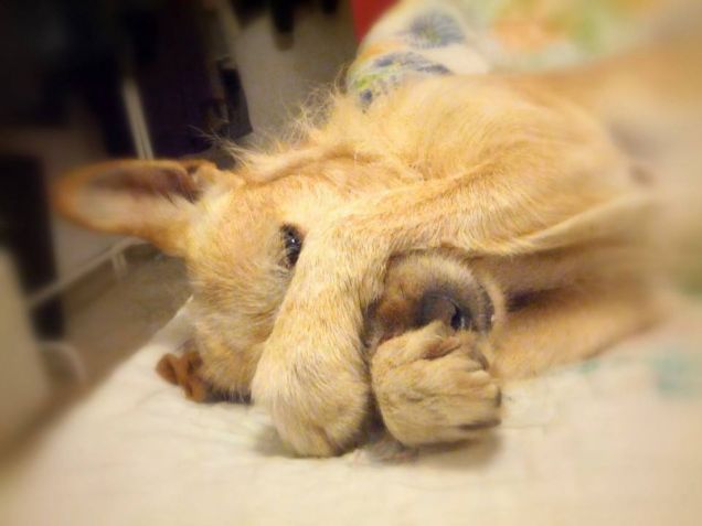 spegni la luce voglio dormire