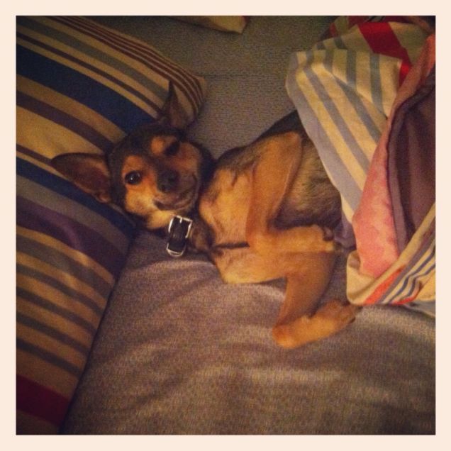 Sissi nel lettone di mamma e papà