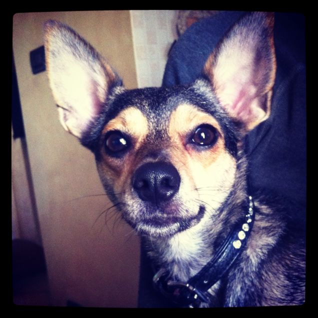 Sissi abbastanza seria