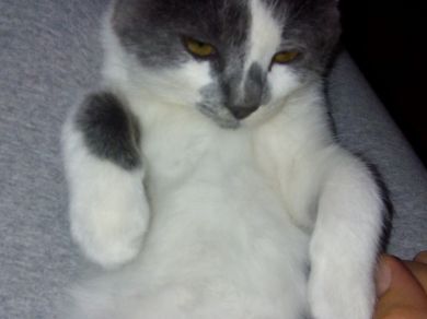 Lola