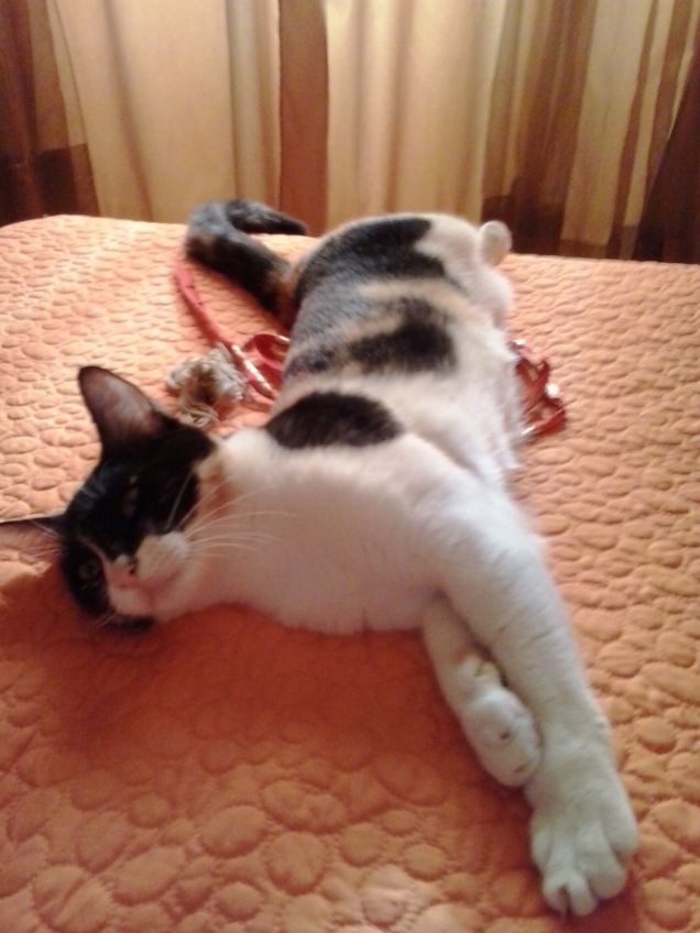 pomeriggi oziosi sul lettone!