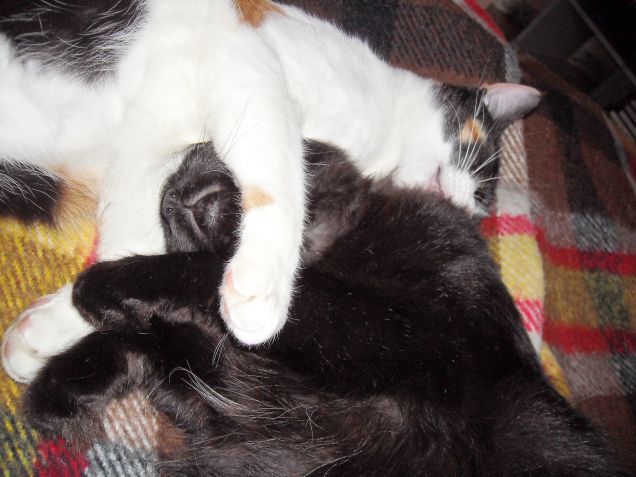 migliori amiche da sempre