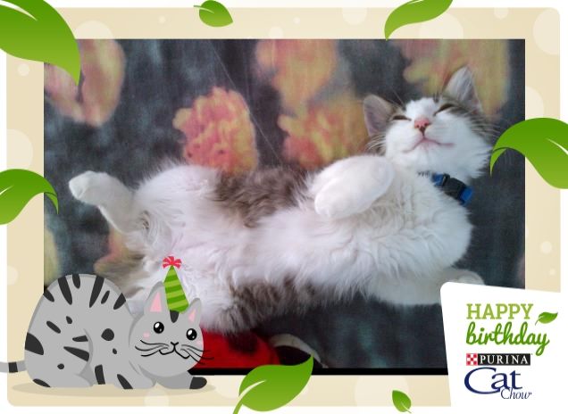 Il riposo è importante!