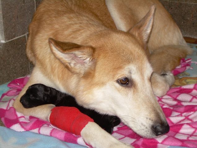 il giorno della nascita