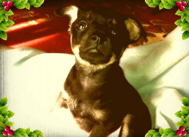 Perry appena arrivato