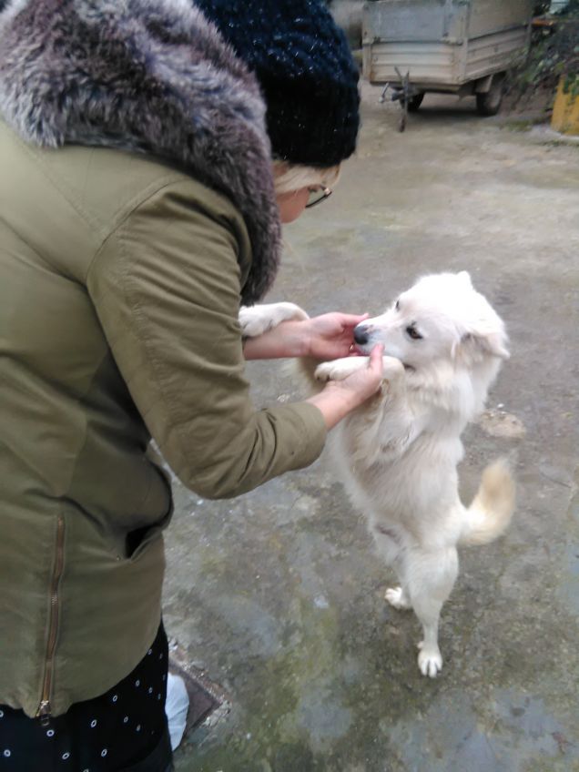 Domenica pomeriggio di giochi