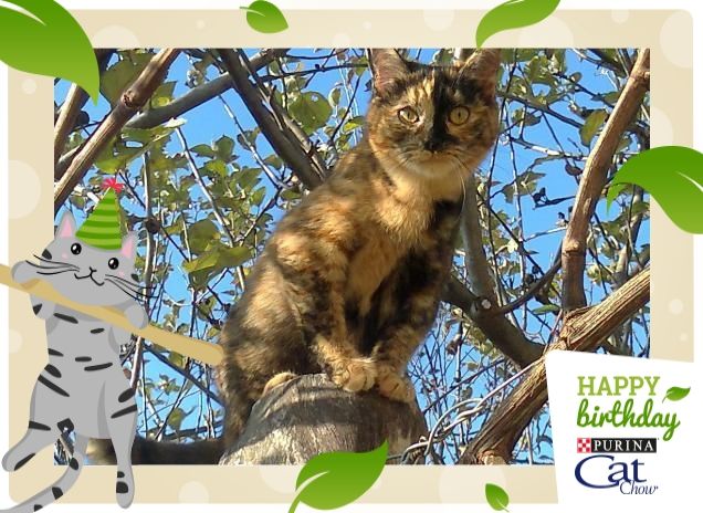 La mia Principessa!!