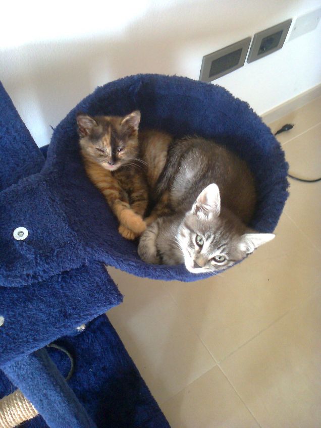 tutti insieme appassionatamente!!