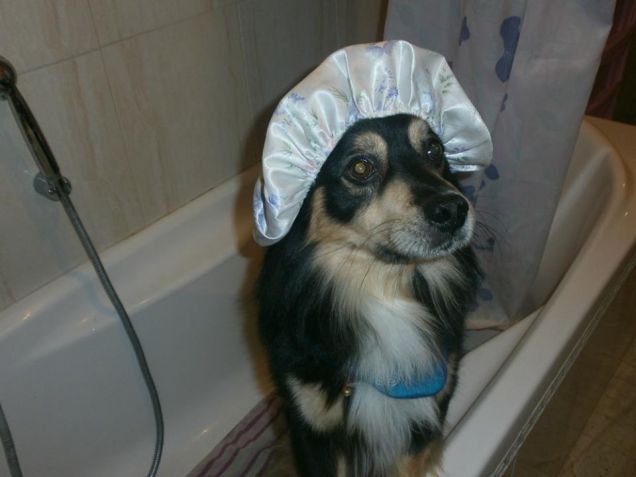 Il mio Cucciolo vanitoso!