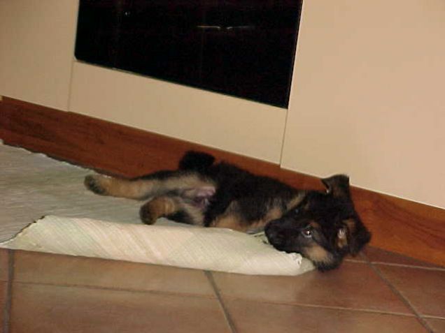 sto facendo qualcosa di sbagliato?