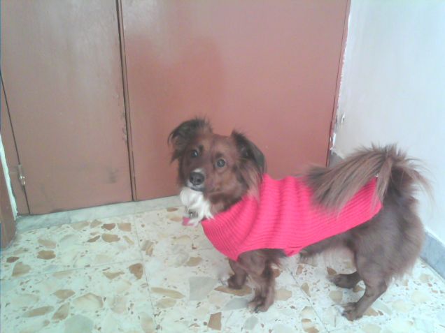 Con il vestitino rosso :)