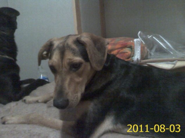 sul letto della mamma