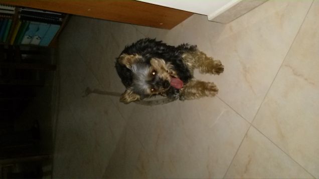 Aspettando di uscire