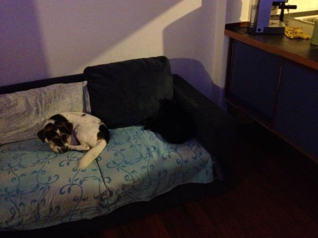 Willie & Bagigio insieme teneramente!