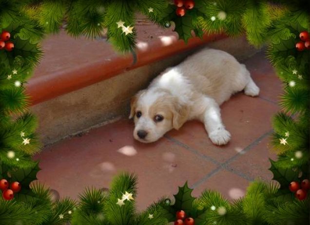 Quà forse non mi vedono...