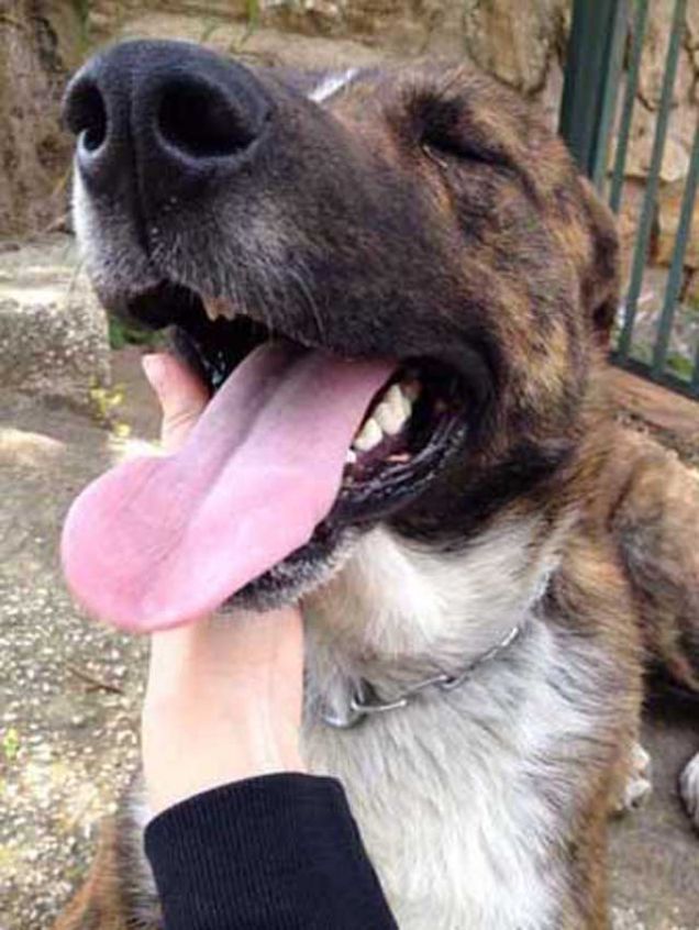 Il mio Lucky, vuole tutto l'obiettivo per se!!