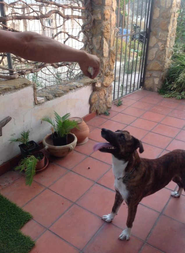 Prendi il croccantino! Vaii!!