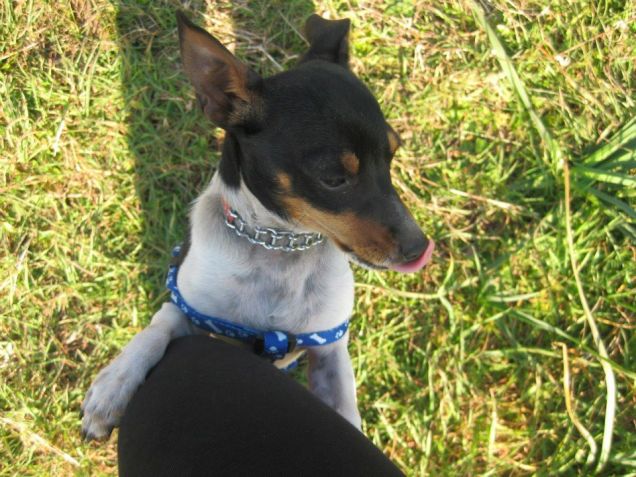 Sergio: il nanetto malefico! ;)