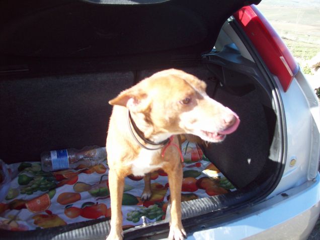 leo si prepara ad andare!