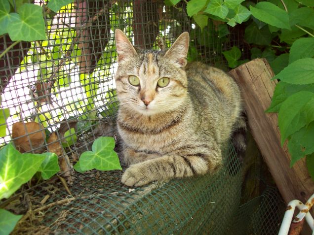 lilla in giardino!!!