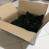 cu cu !