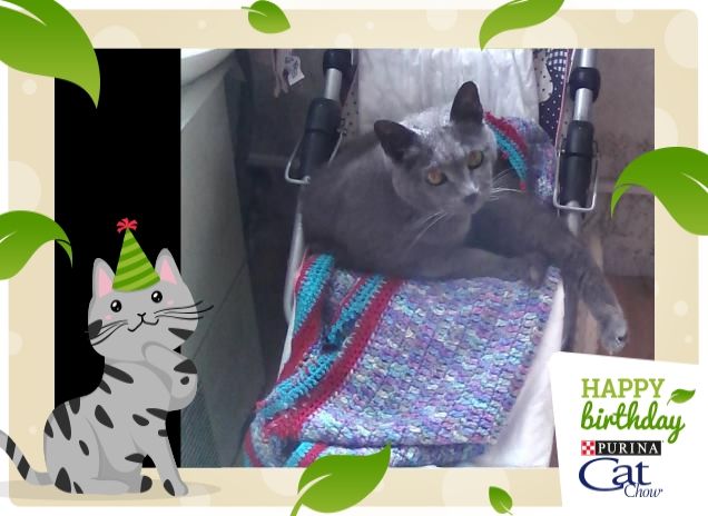 Mi piace andare sulla carozzella.