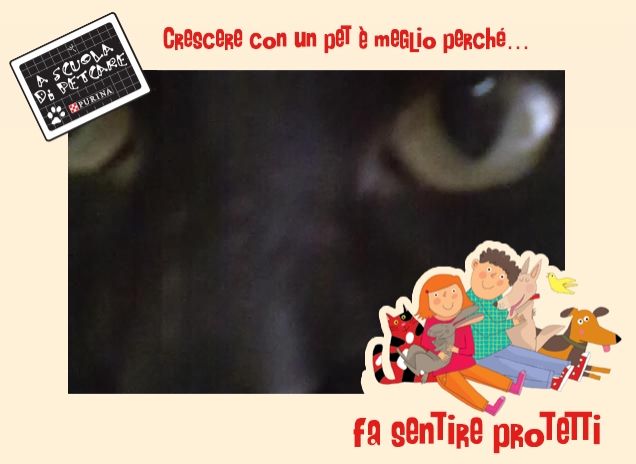 stupendamente insieme