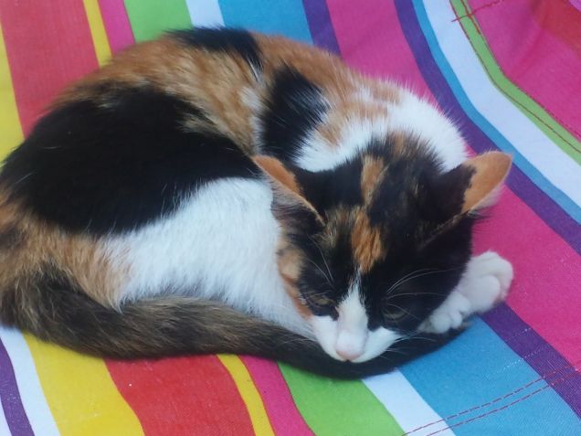 Dormire dolce dormire