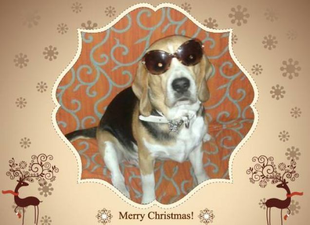 Sono o non sono Sandra Mondaini? :)