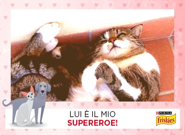 Spank fa lo sciocchino