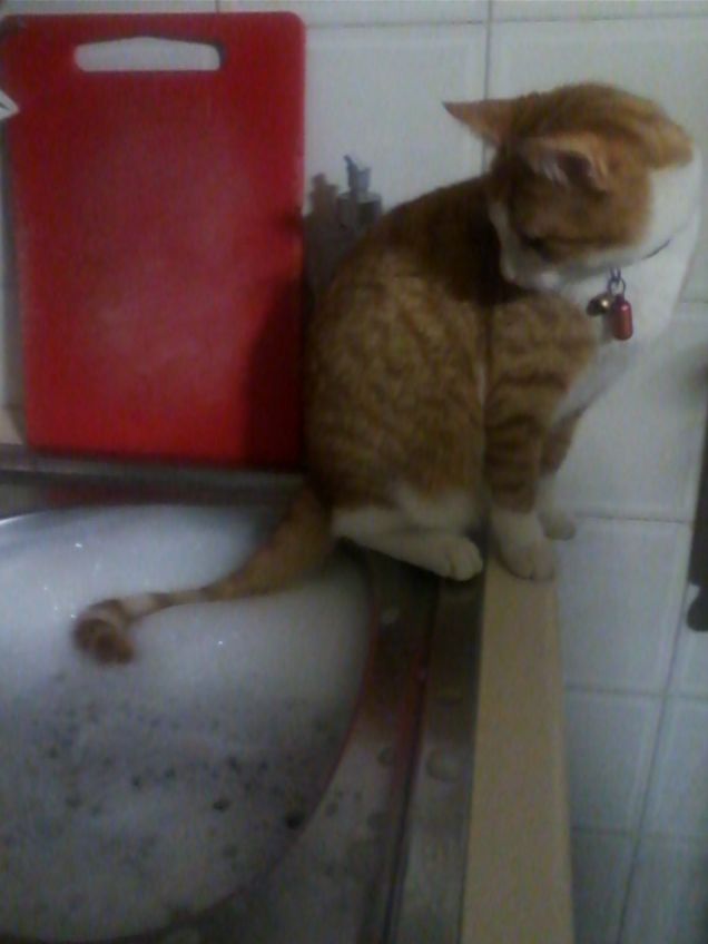 è ora di lavare i piatti