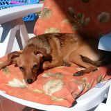 perché sei un essere speciale..ed io avrò cura di te..io si..che AVRÒ CURA DI TE