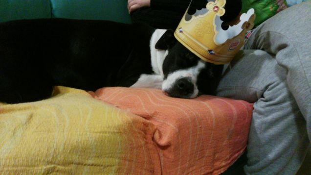 ci mangiamo..... un panino?