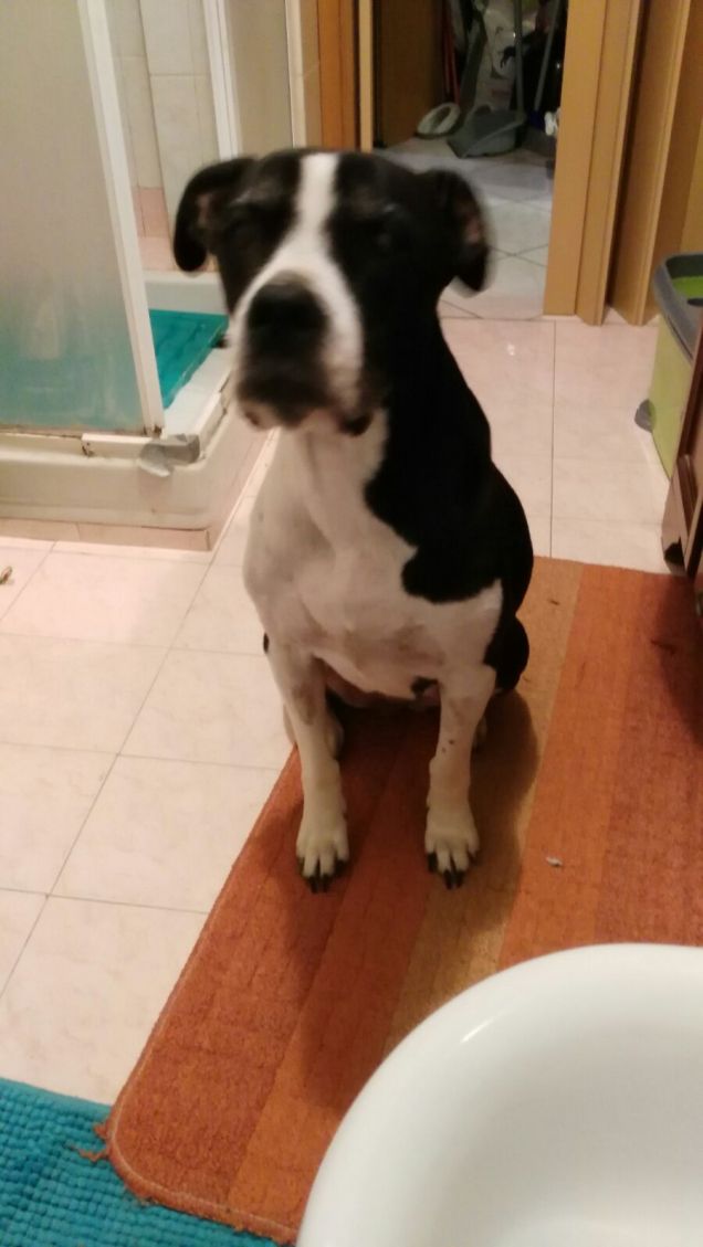 in bagno... a preparci