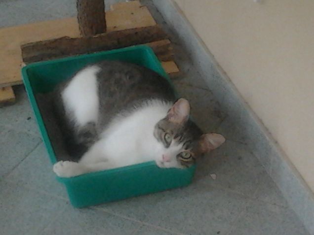 una sabbiatura è quello che ci vuole...