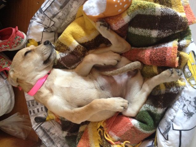 doppia nanna per jasmine