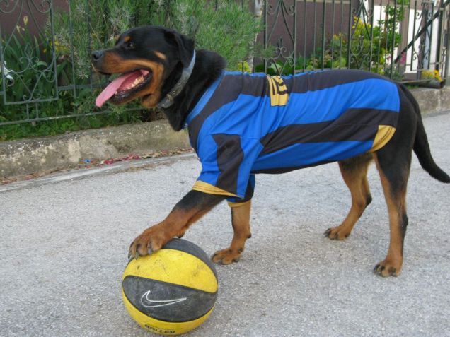 Shela:La sua passione il pallone!
