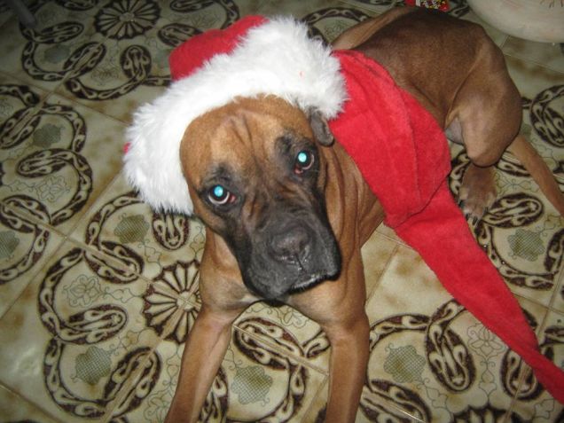 è arrivato il natale