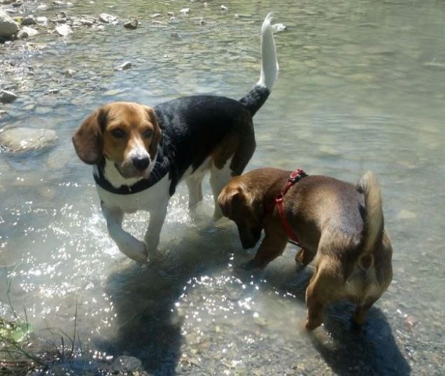 Jack in gita al lago con la sua amichetta del cuore Maya